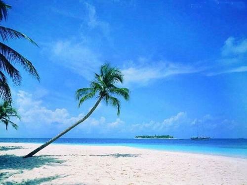 Sanya Tropical Coast Hotel Екстериор снимка