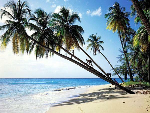 Sanya Tropical Coast Hotel Екстериор снимка